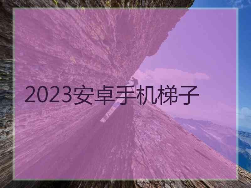 2023安卓手机梯子