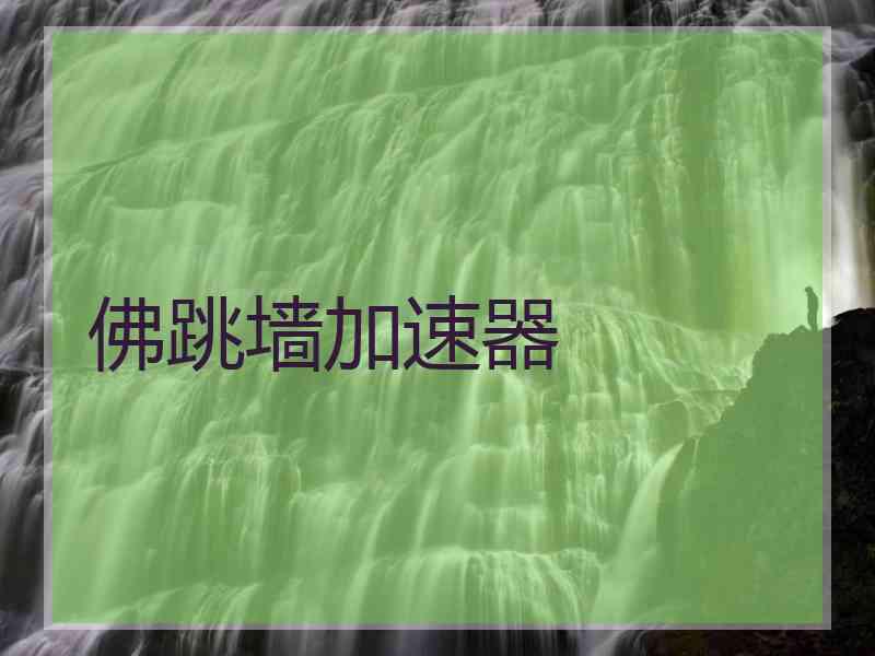 佛跳墙加速器