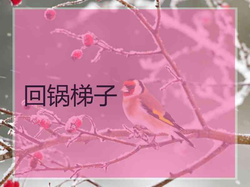回锅梯子