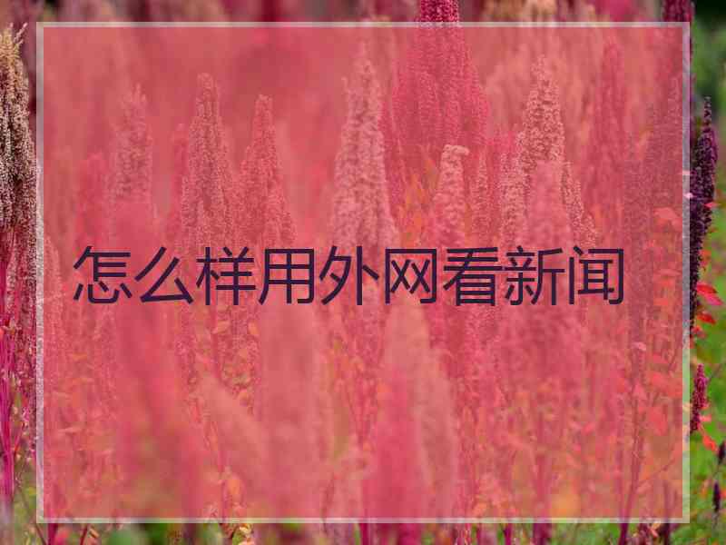 怎么样用外网看新闻