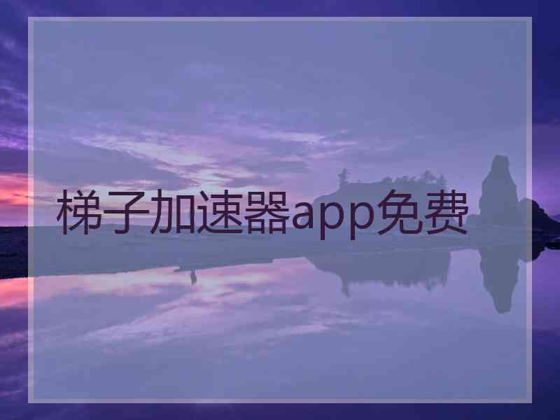 梯子加速器app免费