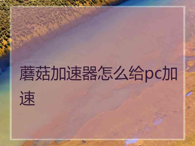 蘑菇加速器怎么给pc加速
