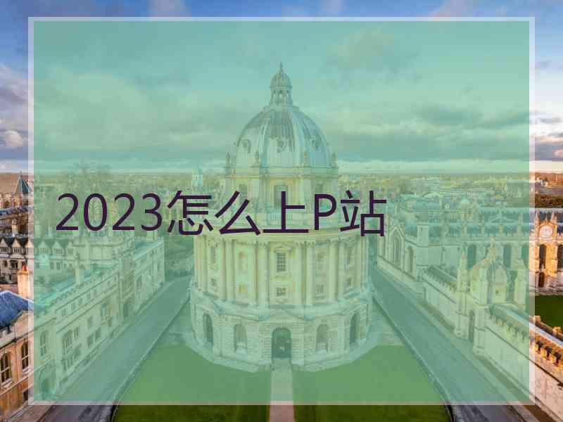 2023怎么上P站