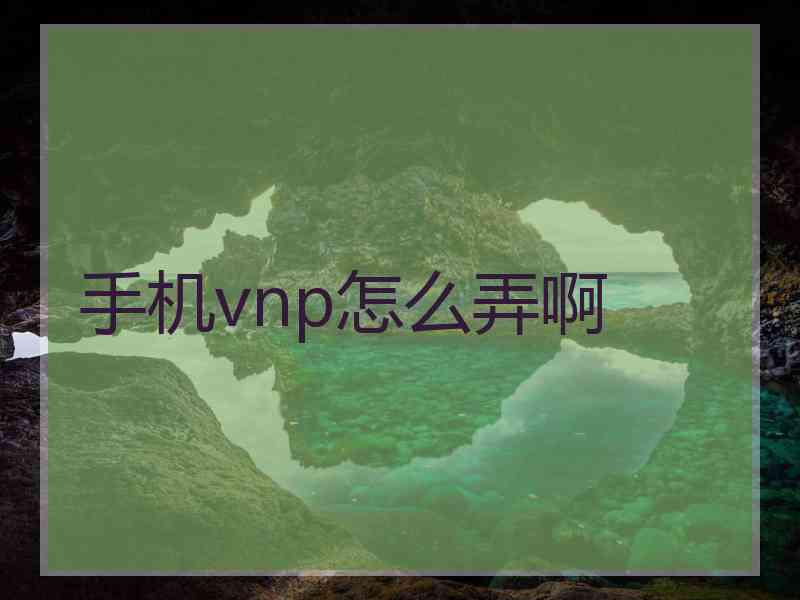 手机vnp怎么弄啊