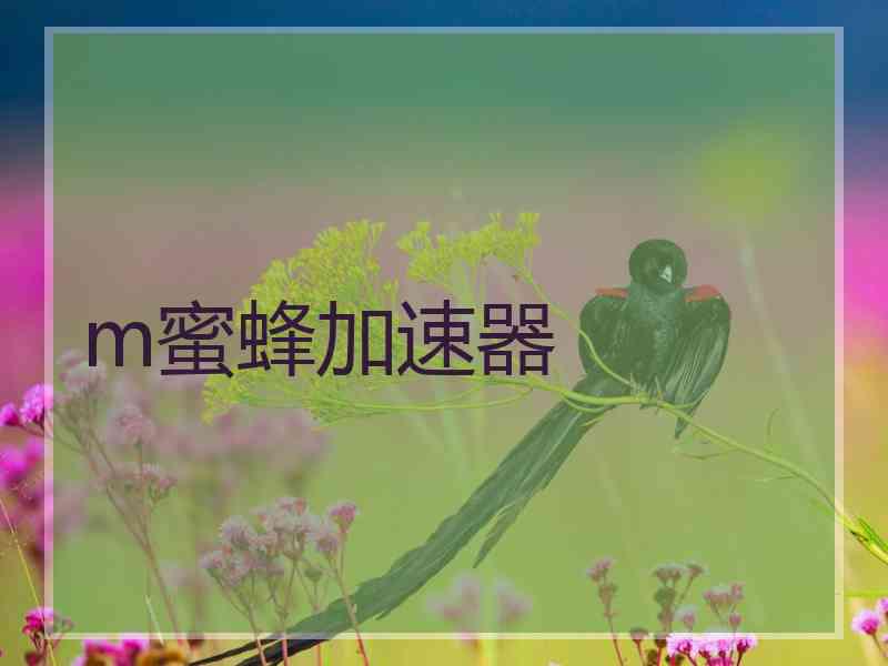 m蜜蜂加速器