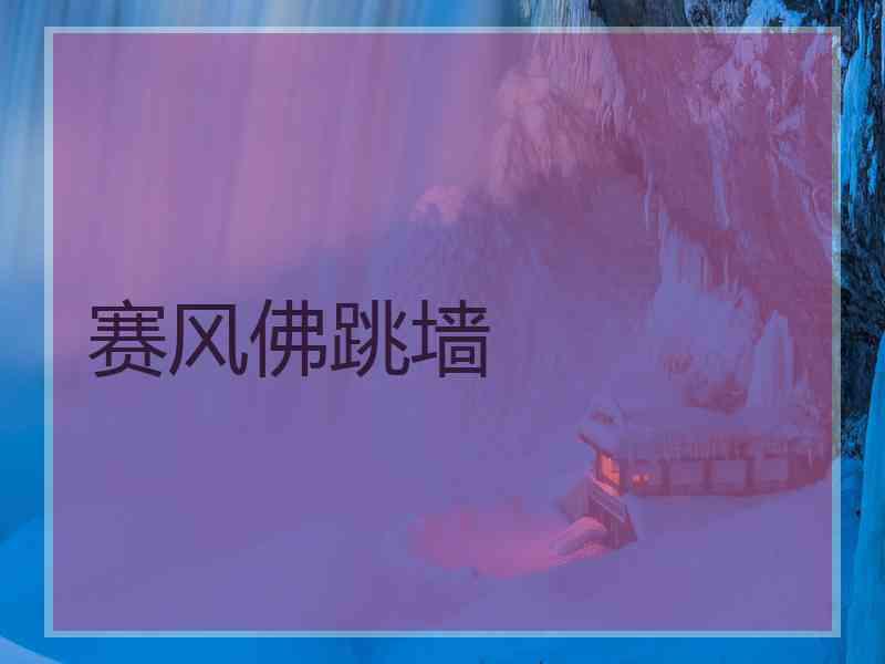 赛风佛跳墙