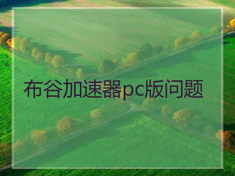 布谷加速器pc版问题