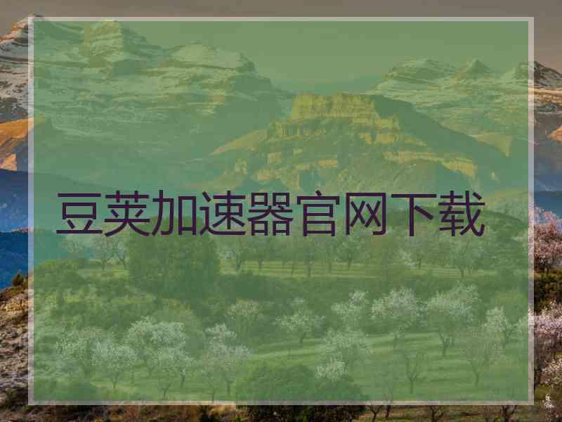豆荚加速器官网下载
