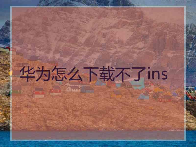 华为怎么下载不了ins