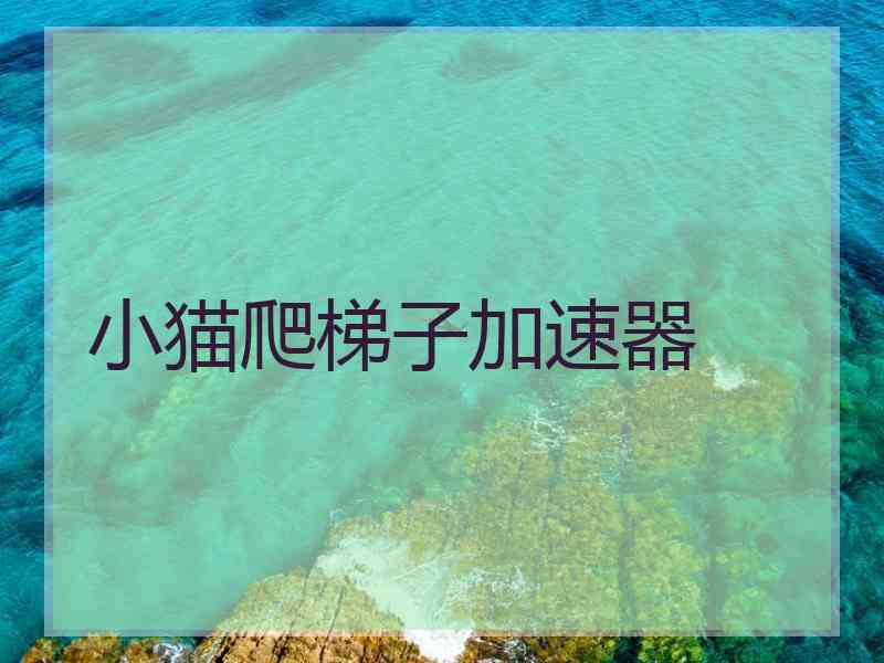 小猫爬梯子加速器