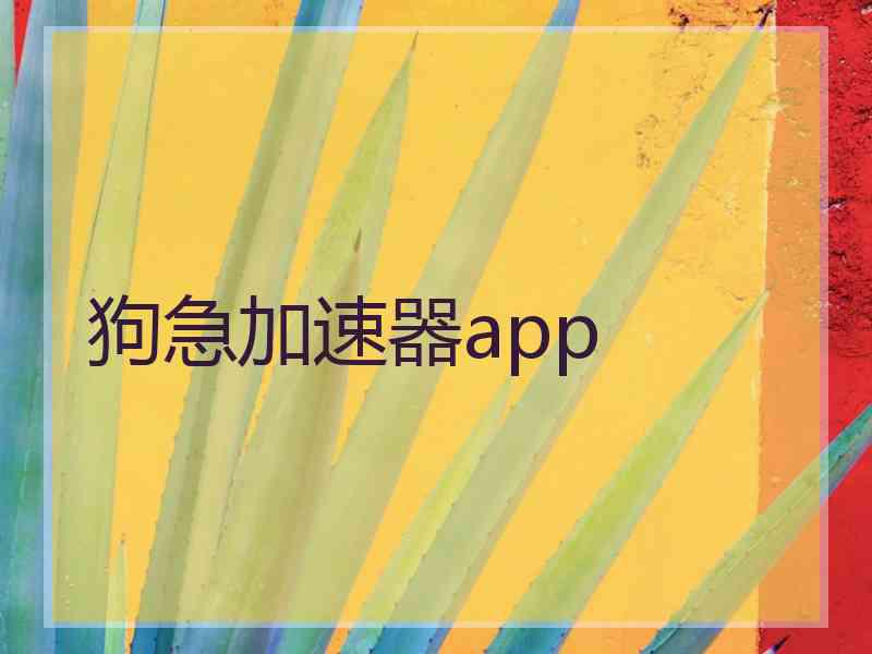 狗急加速器app