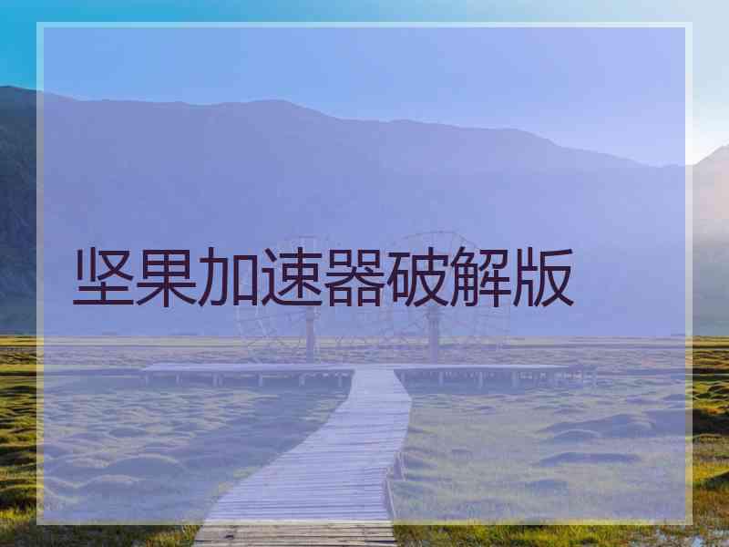 坚果加速器破解版