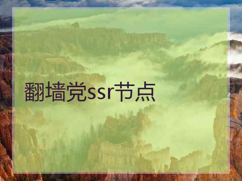 翻墙党ssr节点