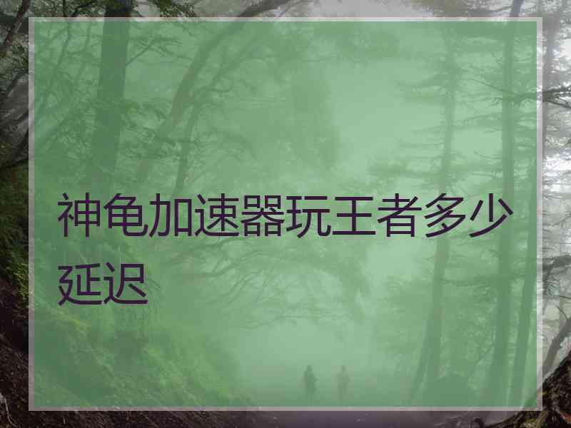 神龟加速器玩王者多少延迟