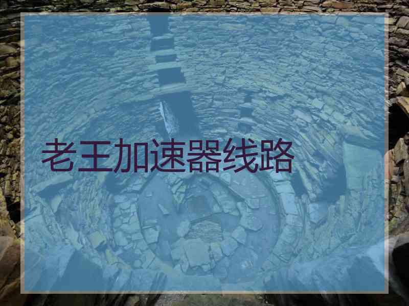 老王加速器线路