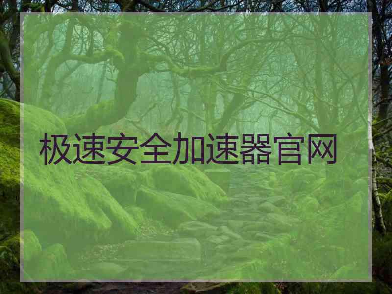 极速安全加速器官网