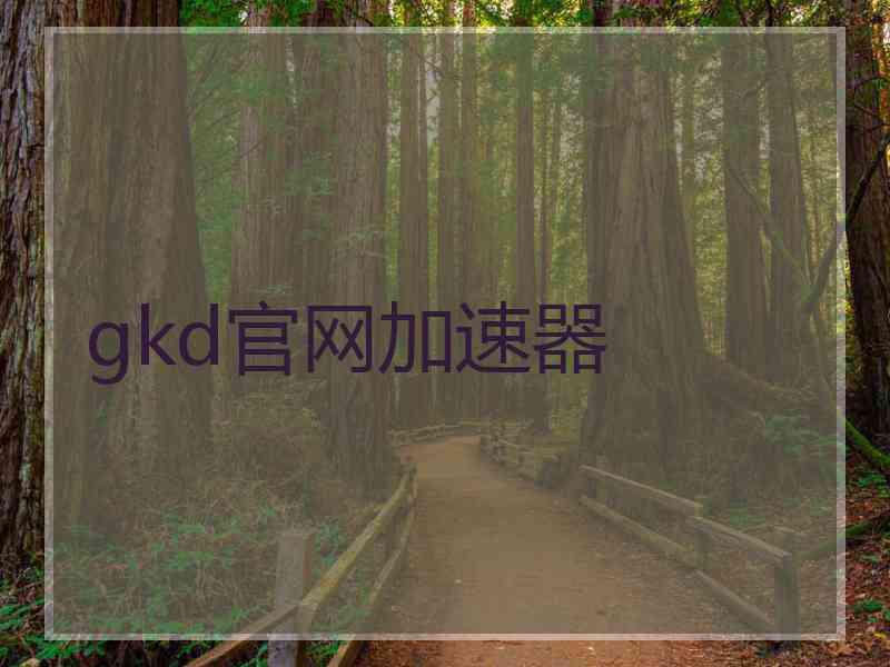 gkd官网加速器
