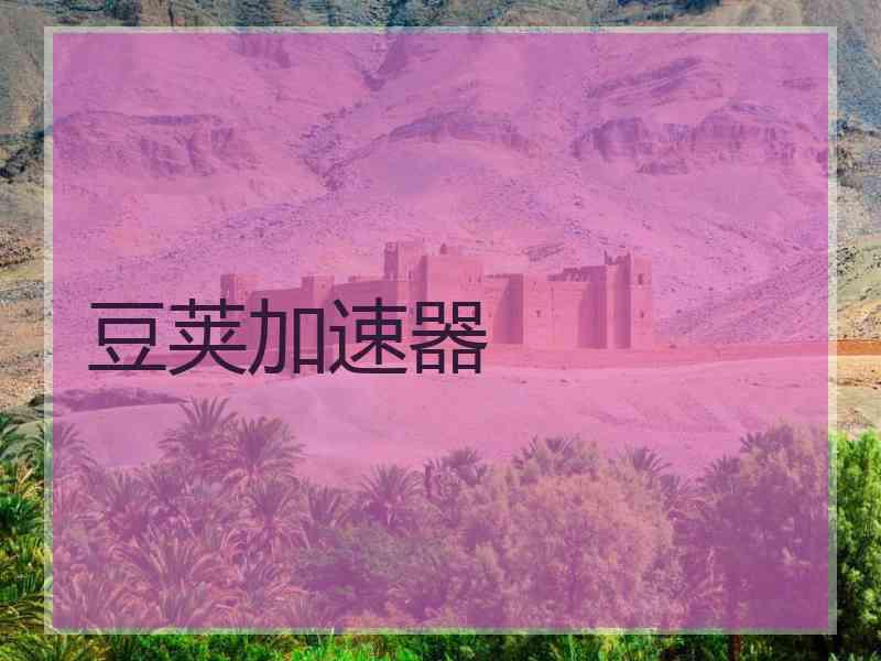 豆荚加速器