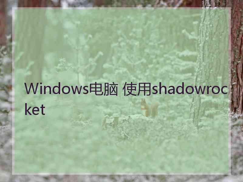 Windows电脑 使用shadowrocket