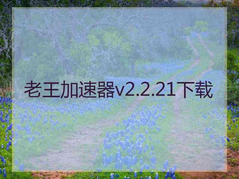 老王加速器v2.2.21下载