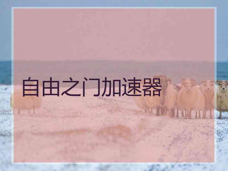 自由之门加速器