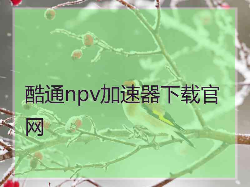 酷通npv加速器下载官网