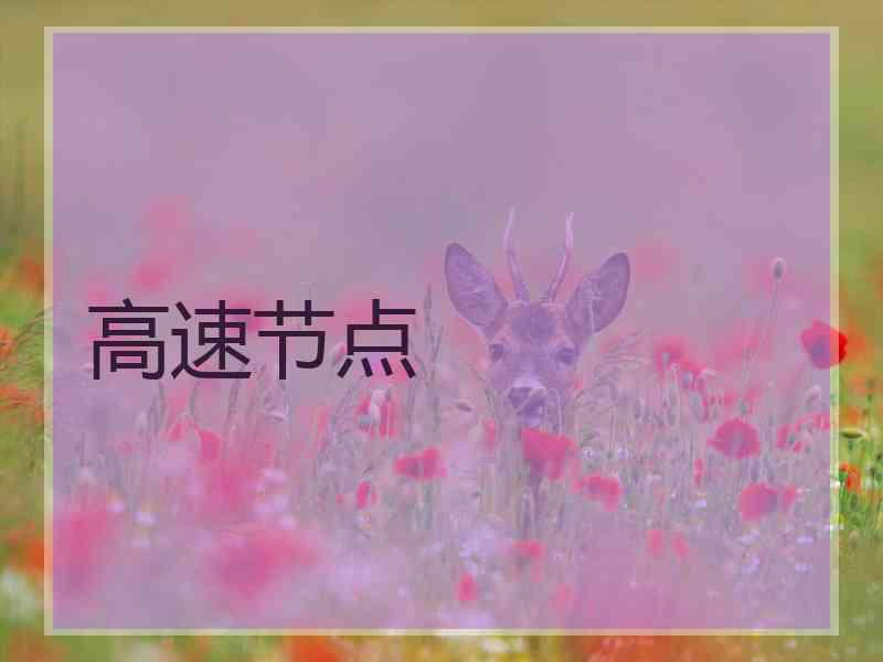 高速节点