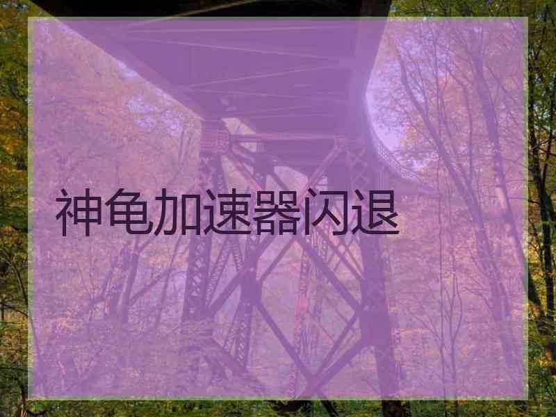 神龟加速器闪退