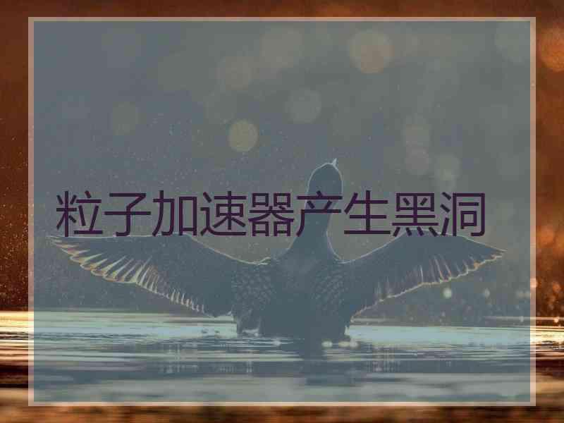 粒子加速器产生黑洞