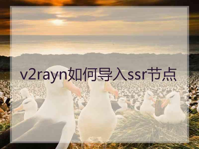 v2rayn如何导入ssr节点