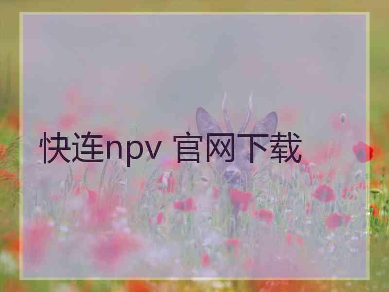 快连npv 官网下载