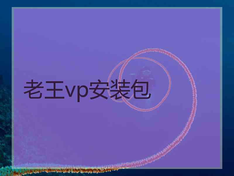 老王vp安装包