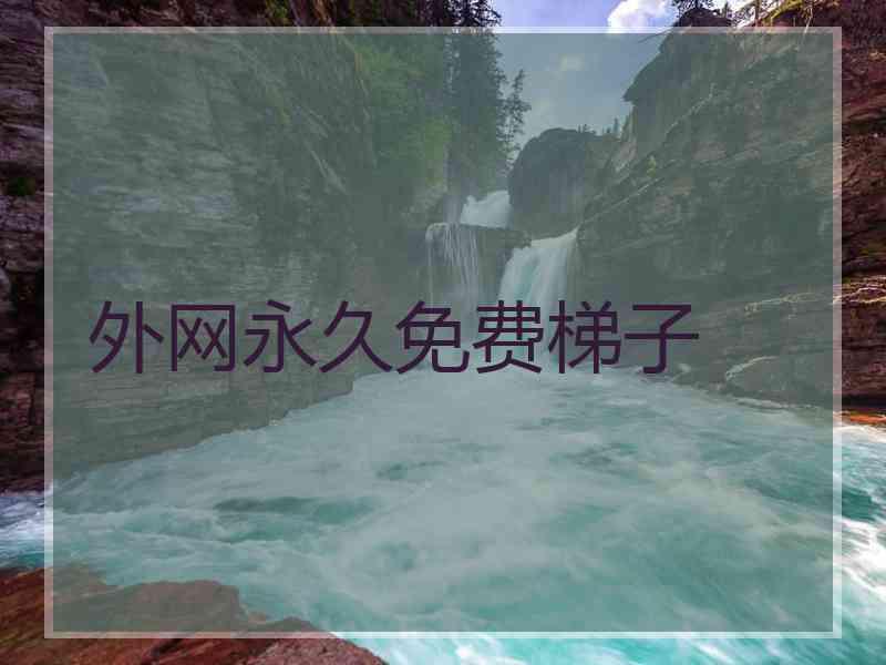 外网永久免费梯子