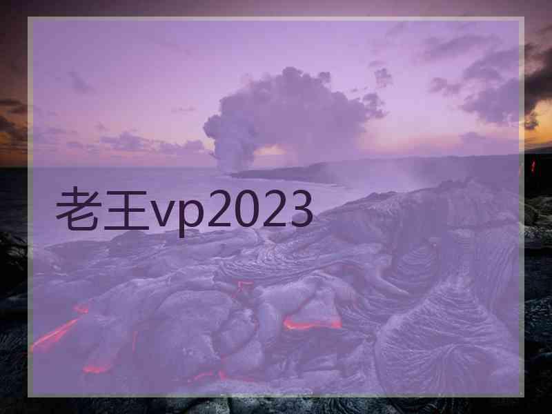 老王vp2023