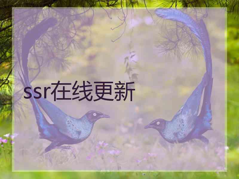 ssr在线更新