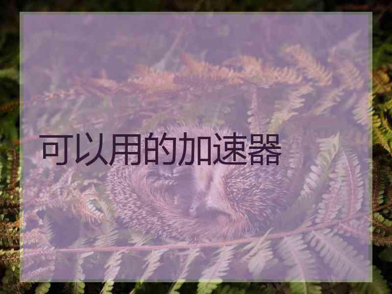 可以用的加速器