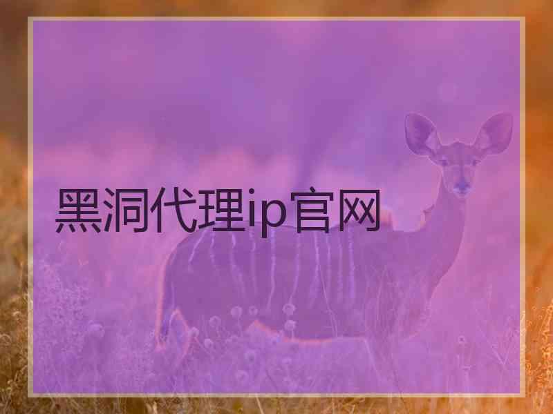 黑洞代理ip官网