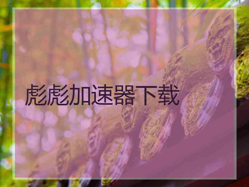 彪彪加速器下载