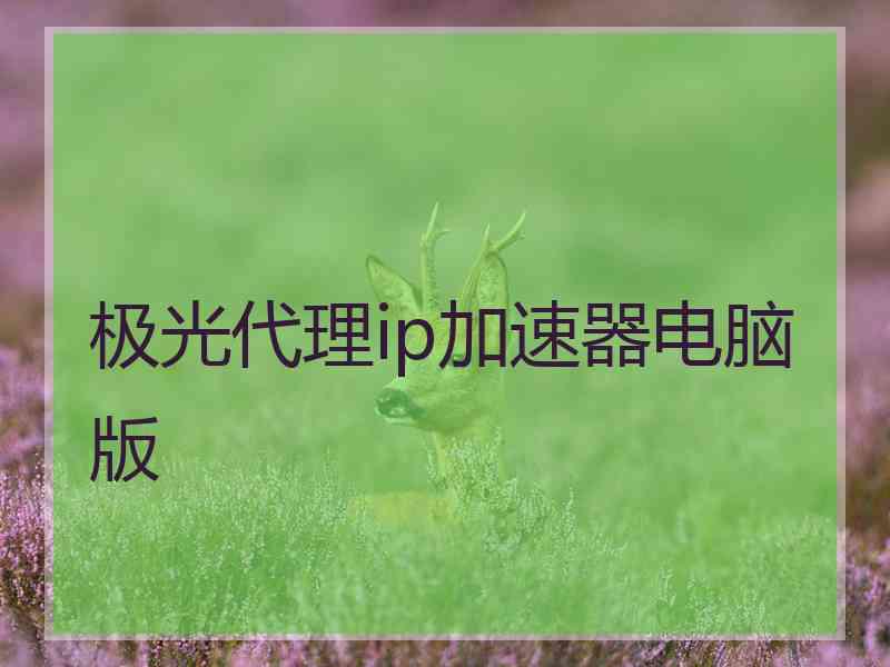 极光代理ip加速器电脑版