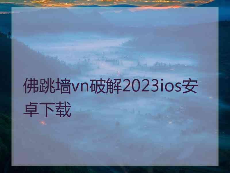 佛跳墙vn破解2023ios安卓下载