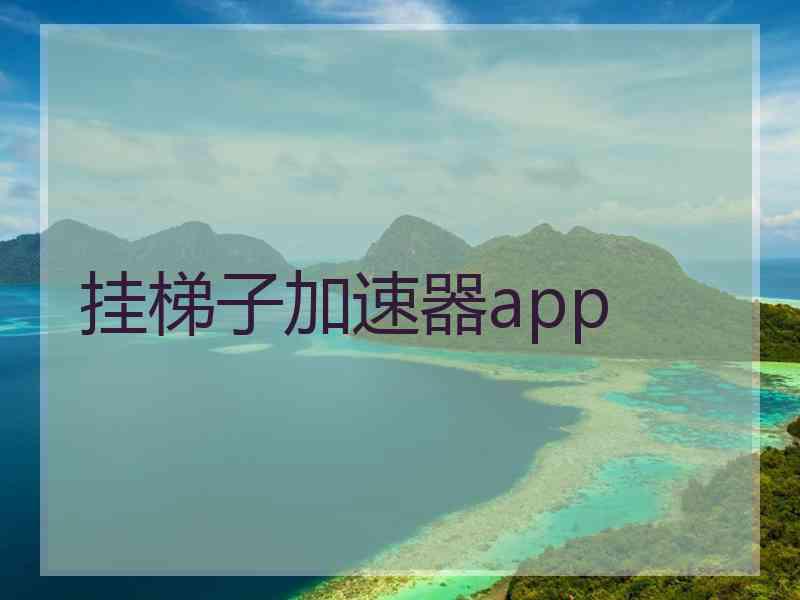 挂梯子加速器app