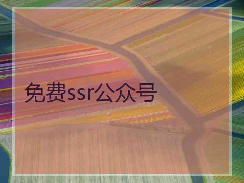免费ssr公众号