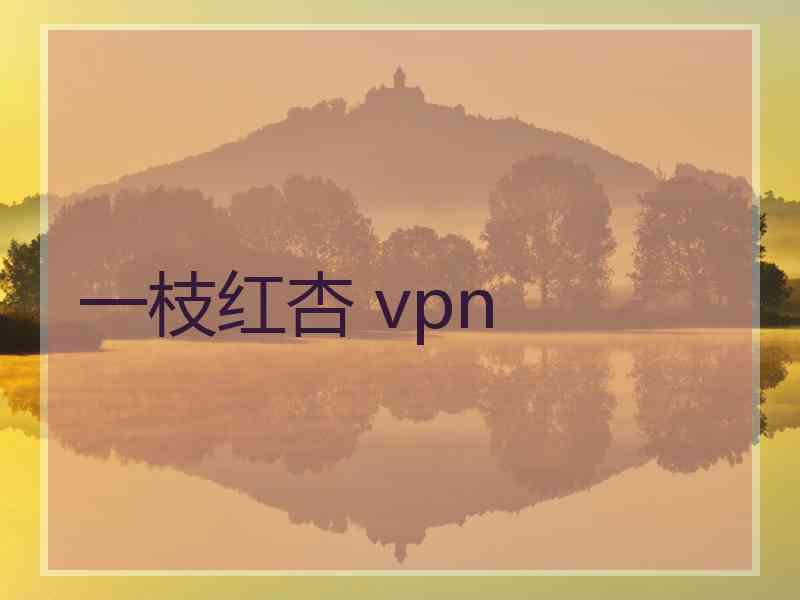 一枝红杏 vpn