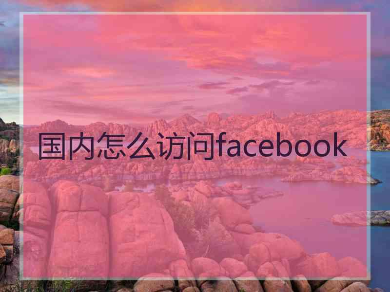国内怎么访问facebook