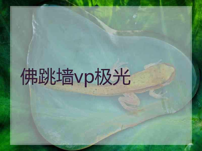 佛跳墙vp极光