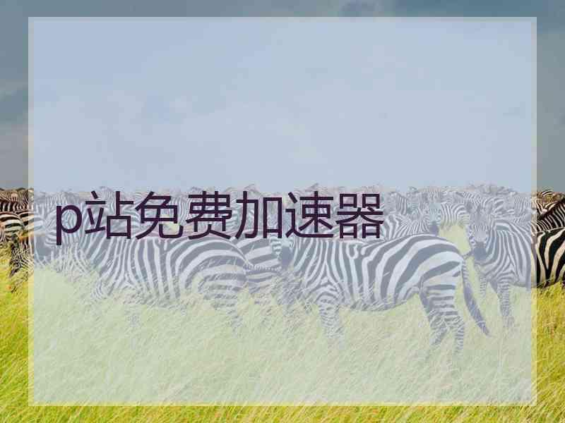 p站免费加速器
