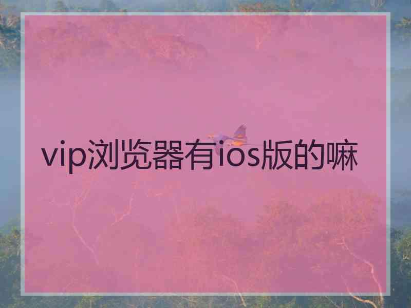 vip浏览器有ios版的嘛