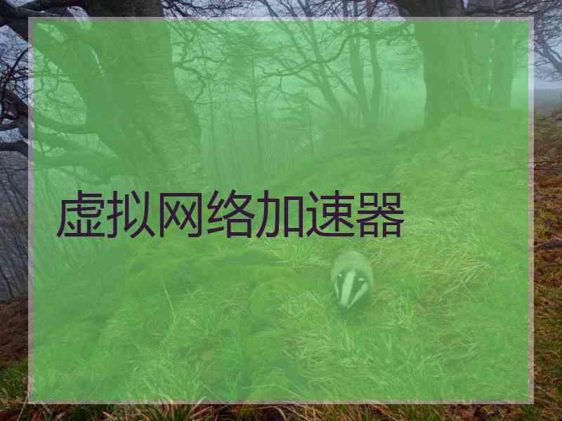 虚拟网络加速器