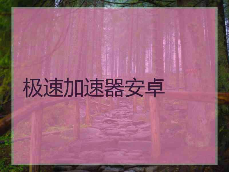 极速加速器安卓