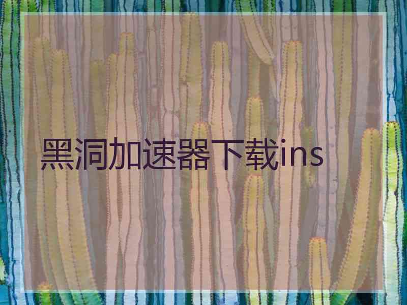 黑洞加速器下载ins
